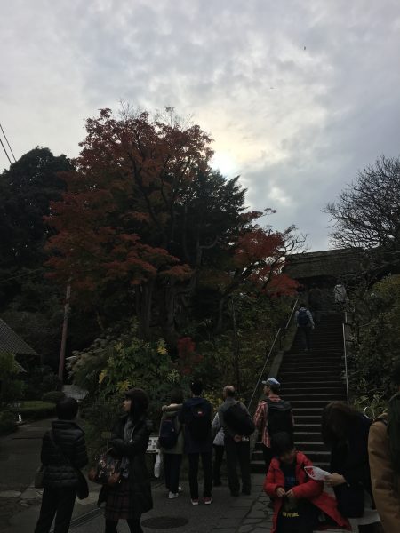山門紅葉