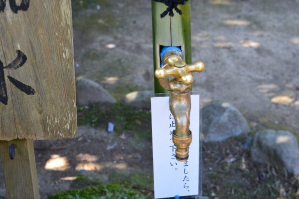 杉本寺