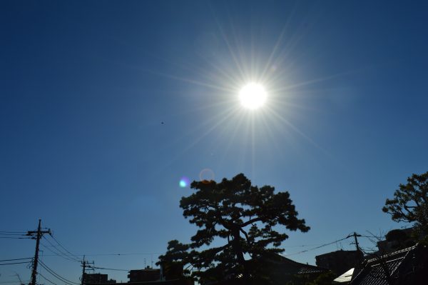 池上本門寺の空