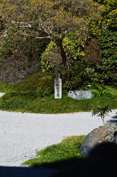 報国寺 石庭