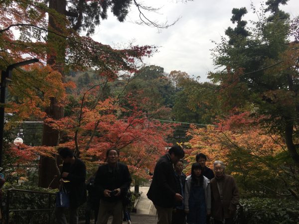 円覚寺入り口からの紅葉