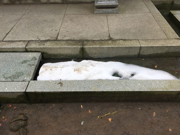 残雪