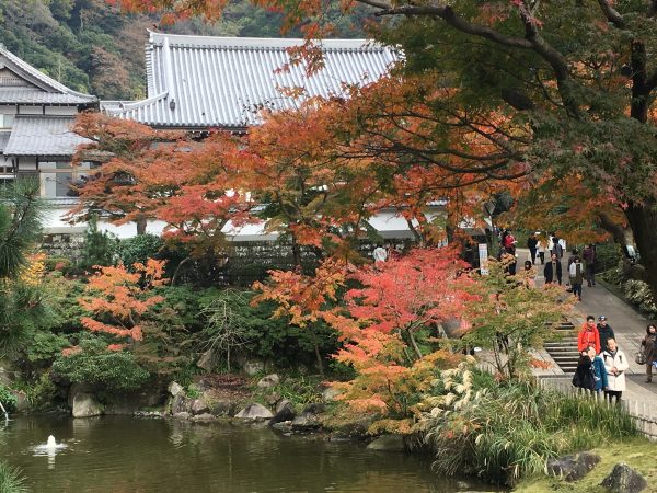 円覚寺の池の紅葉