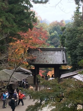 北鎌倉 円覚寺 の紅葉が心を癒す 座禅体験もやってます 鎌倉好きの旅と勉強の日々 備忘録的ブログ
