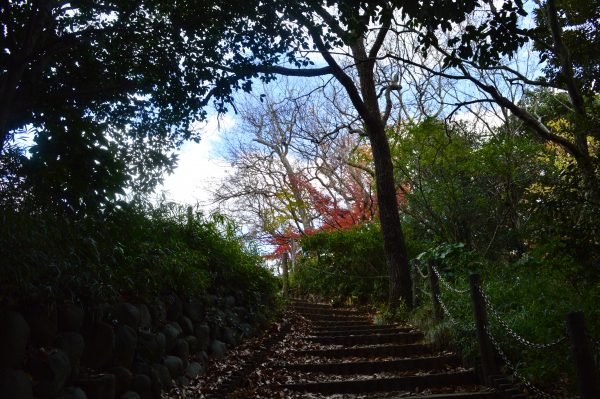 源氏山公園内