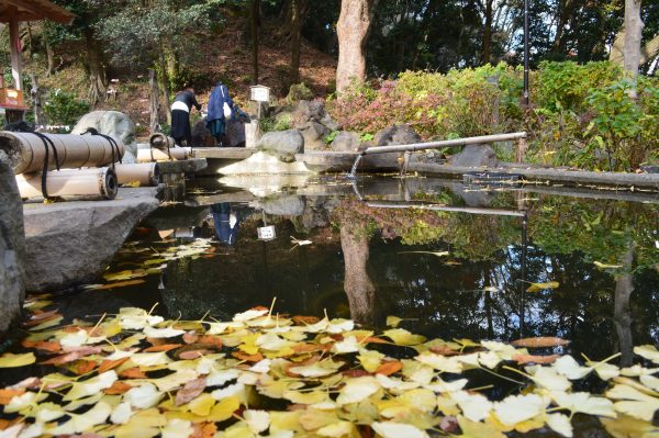 葛原岡神社の池