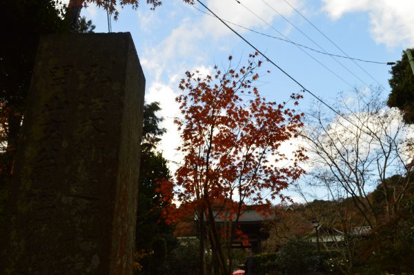 海蔵寺の紅葉