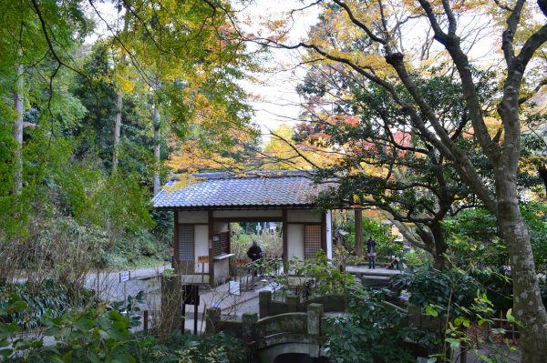 明月院 山門