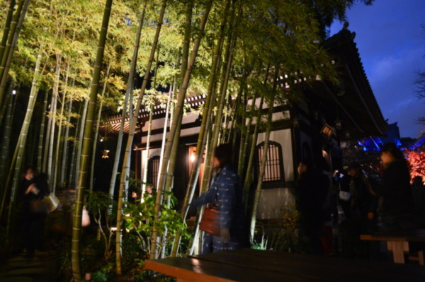 鎌倉 長谷 由比ガ浜 周辺エリアのおすすめスポット 鎌倉好きの旅と勉強の日々 備忘録的ブログ