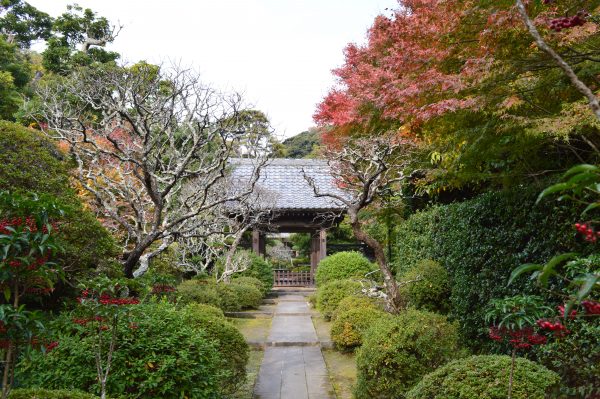 建長寺 天源院