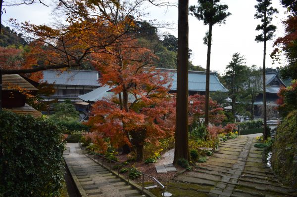 正統院と龍峰院への道
