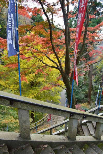 絶景の「半増坊」からの鎌倉トレッキングと湧き水の「回春院」