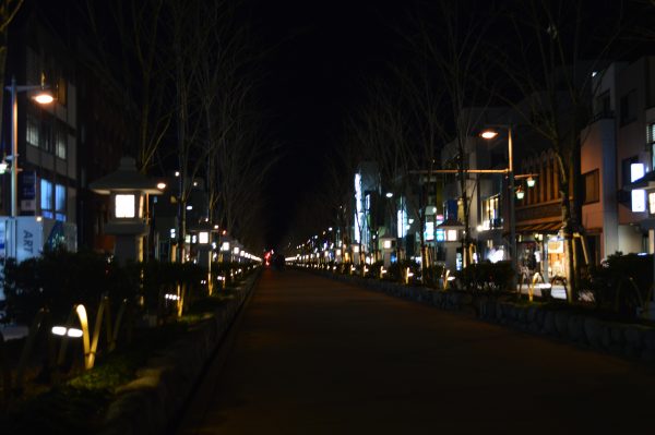 鶴岡八幡宮　ライトアップ