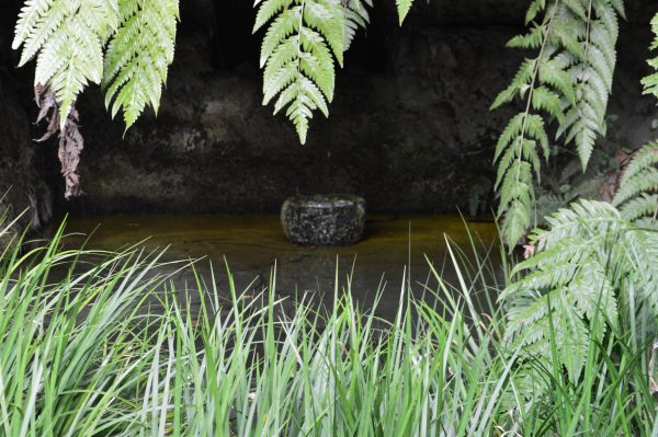 杉本寺境内の池