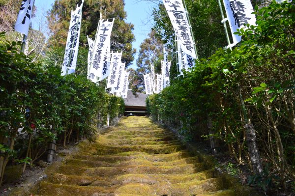 杉本寺の苔の階段