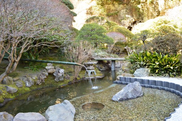 報国寺庭園の池