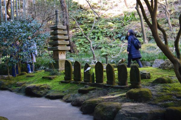 報国寺 竹の庭