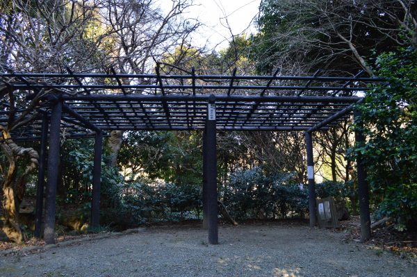 鎌倉宮　庭園
