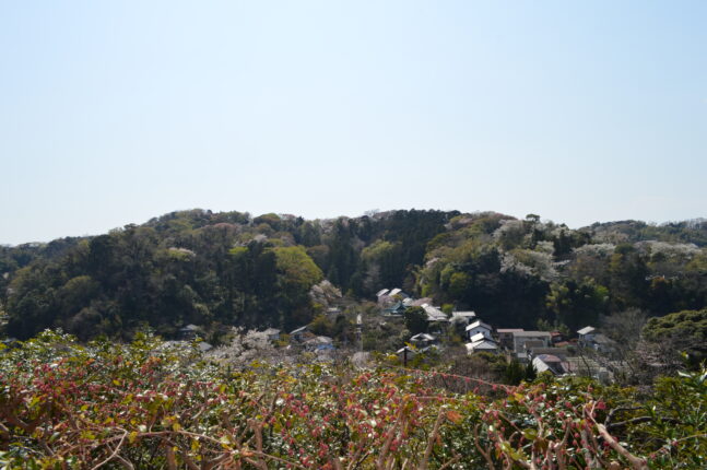 円覚寺の弁天茶屋からの絶景