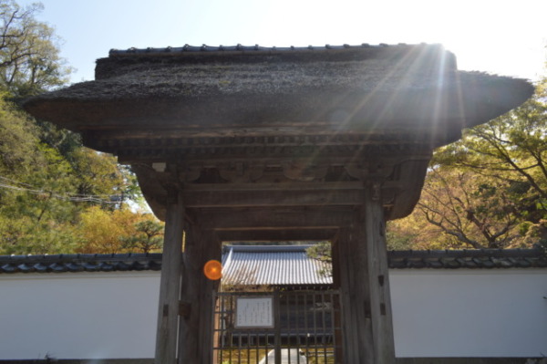 鎌倉「長寿寺」室町幕府初代「足利尊氏」が眠る限定公開の境内!